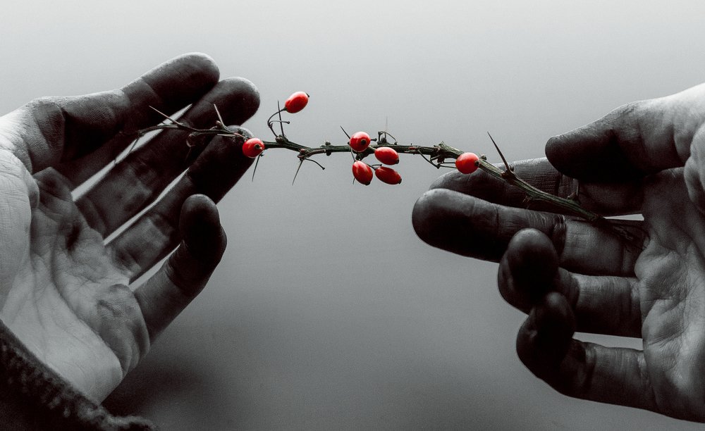 Photograph by Мария Никольская