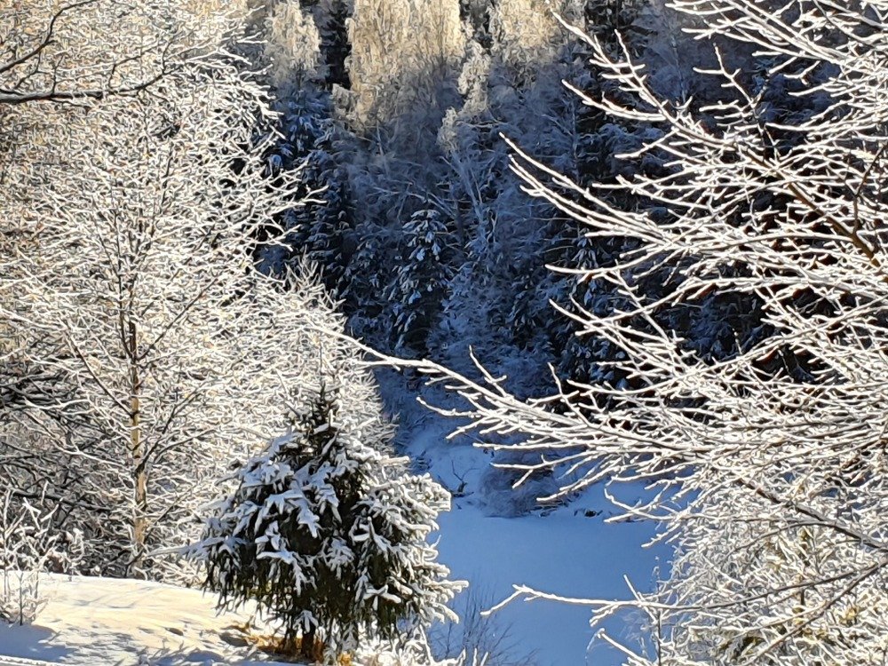 Photograph by Анастасия