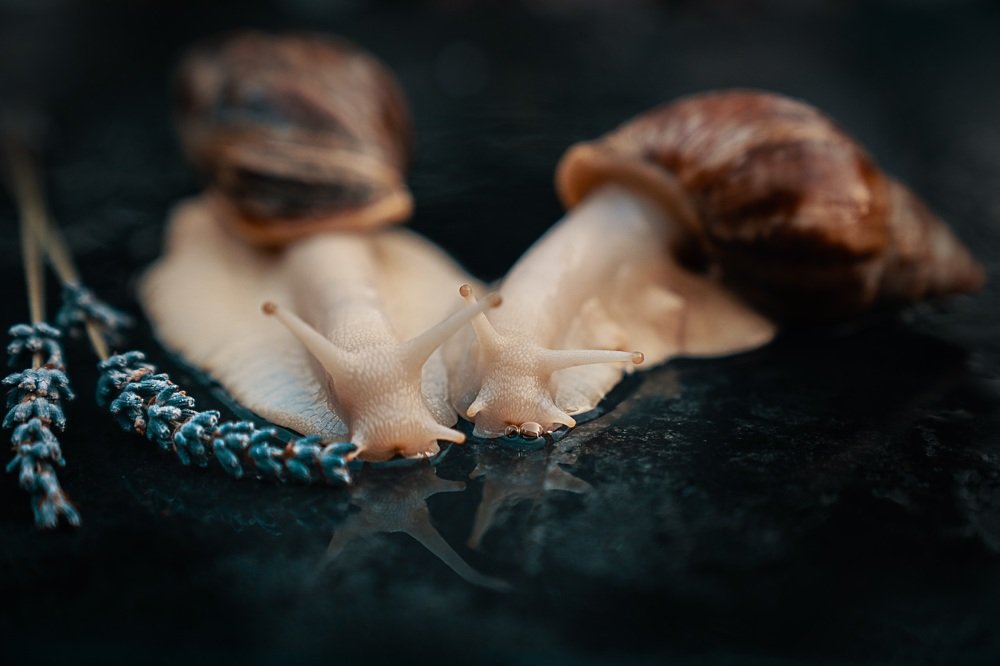 Photograph by Виктория Кузнецова