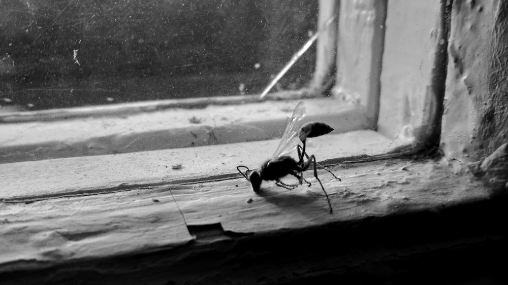 Photograph by Артём