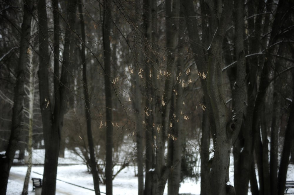 Photograph by Виталий Пилипенко