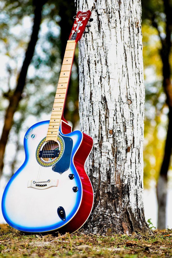 The guitar
