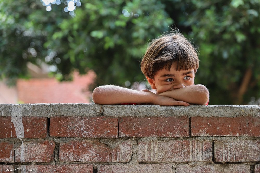 Фотография автора Ahmed Ramadan