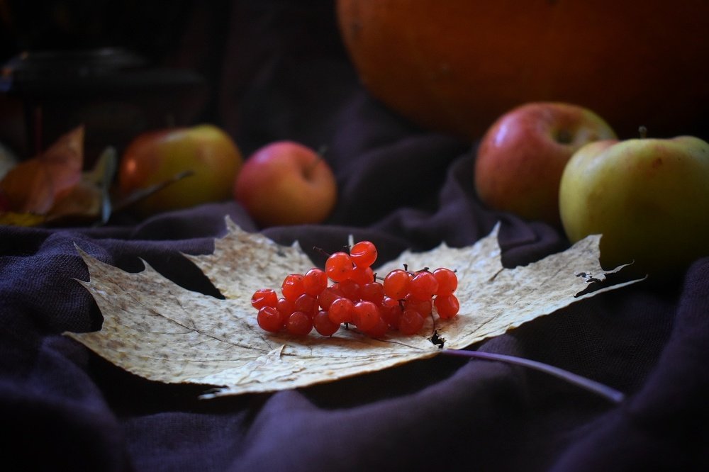 Photograph by Татьяна Медведева