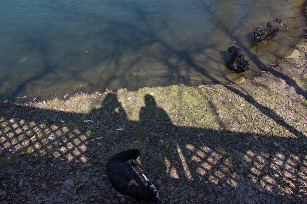 Photograph by Rimma Volchenko