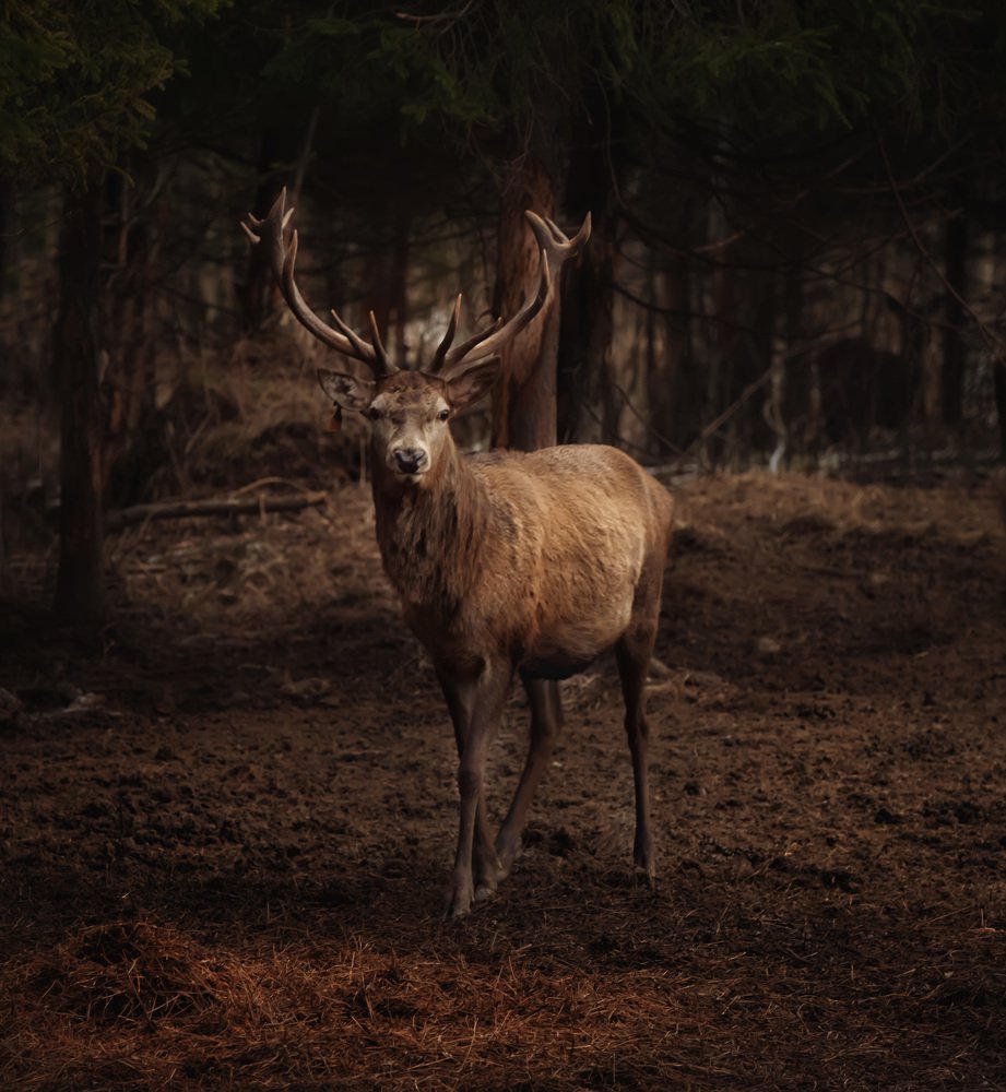 Фотография автора Viktoria Alaküla