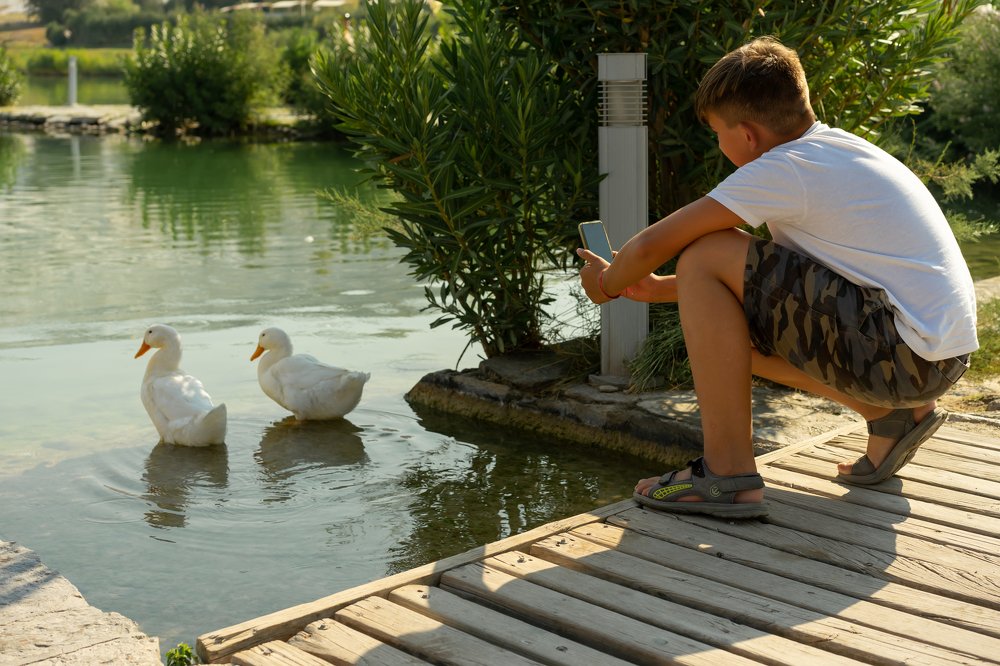 Photograph by Марина Корабельникова