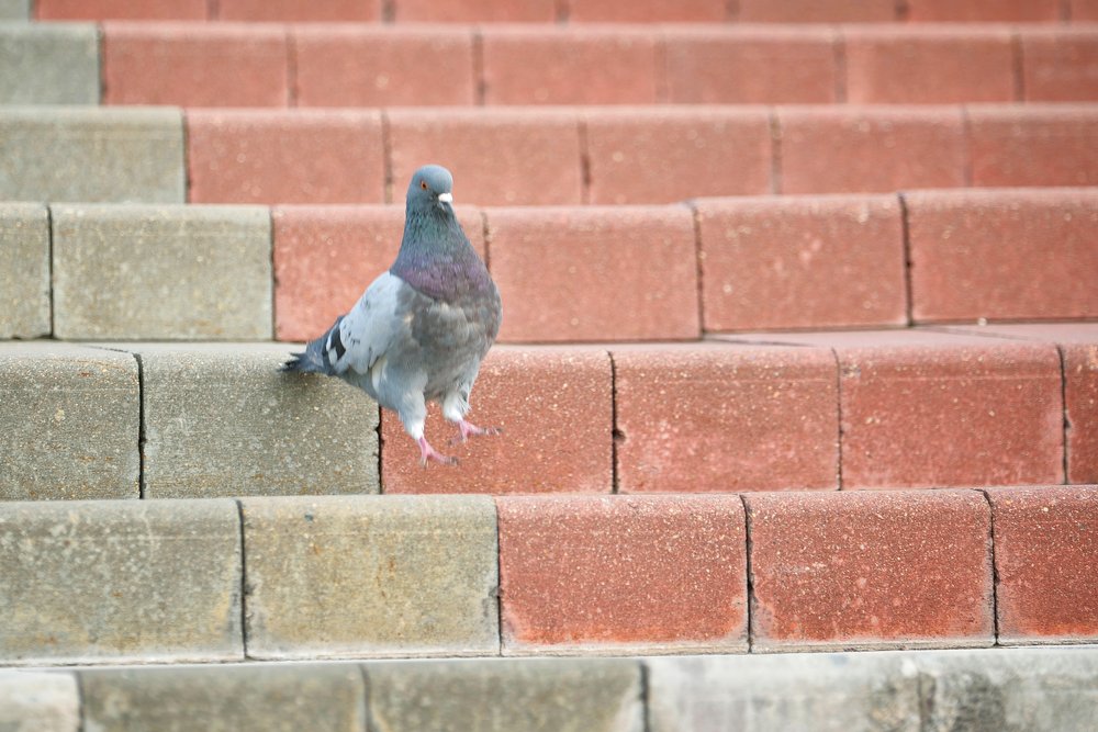 Фотография автора Светлана Мороз