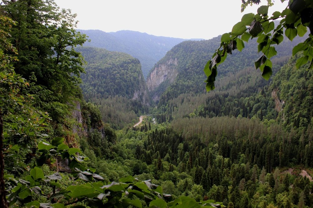 Юпшарское ущелье