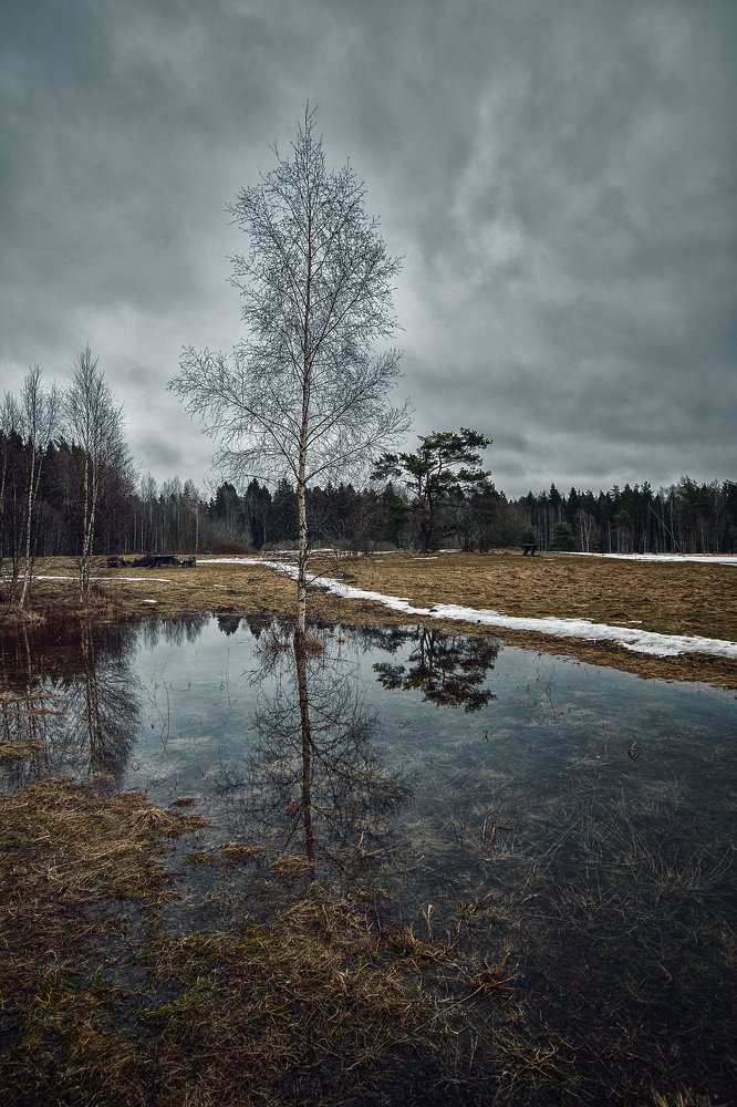 Photograph by Viktoria Alaküla