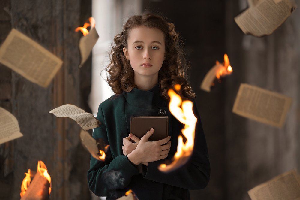 Иллюстрация к книге «Книжный вор»