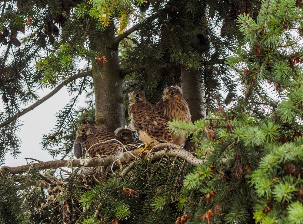 Photograph by Vladimir