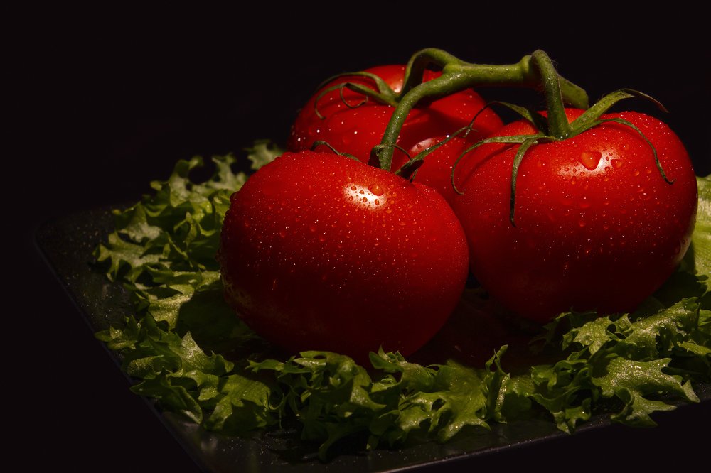 Photograph by Мария Никитина