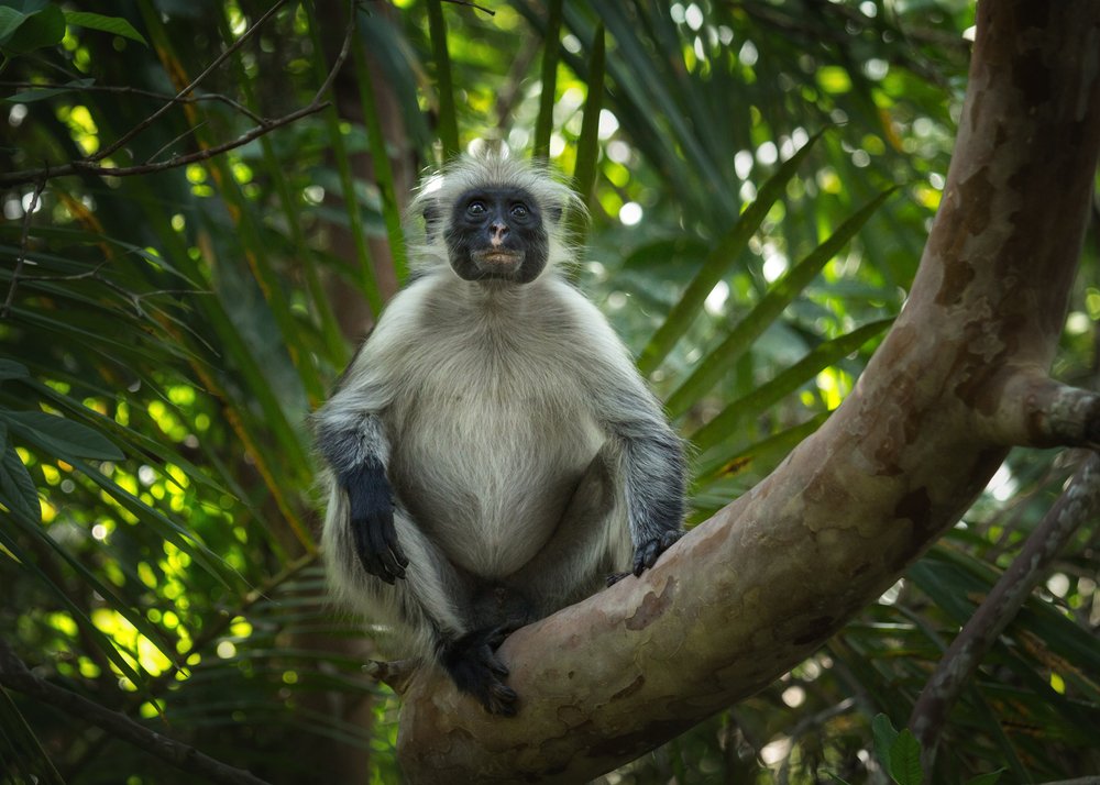 Photograph by Наталия Деркач