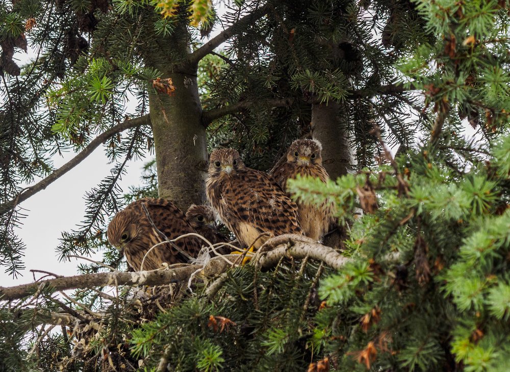 Photograph by Vladimir