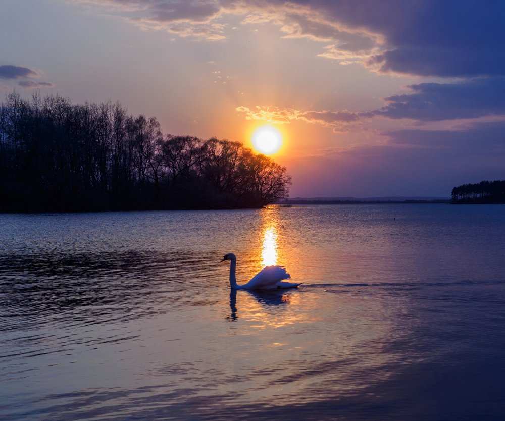 Photograph by Vladimir