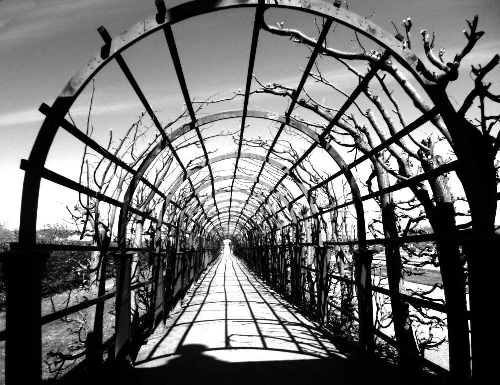 Бесконечность