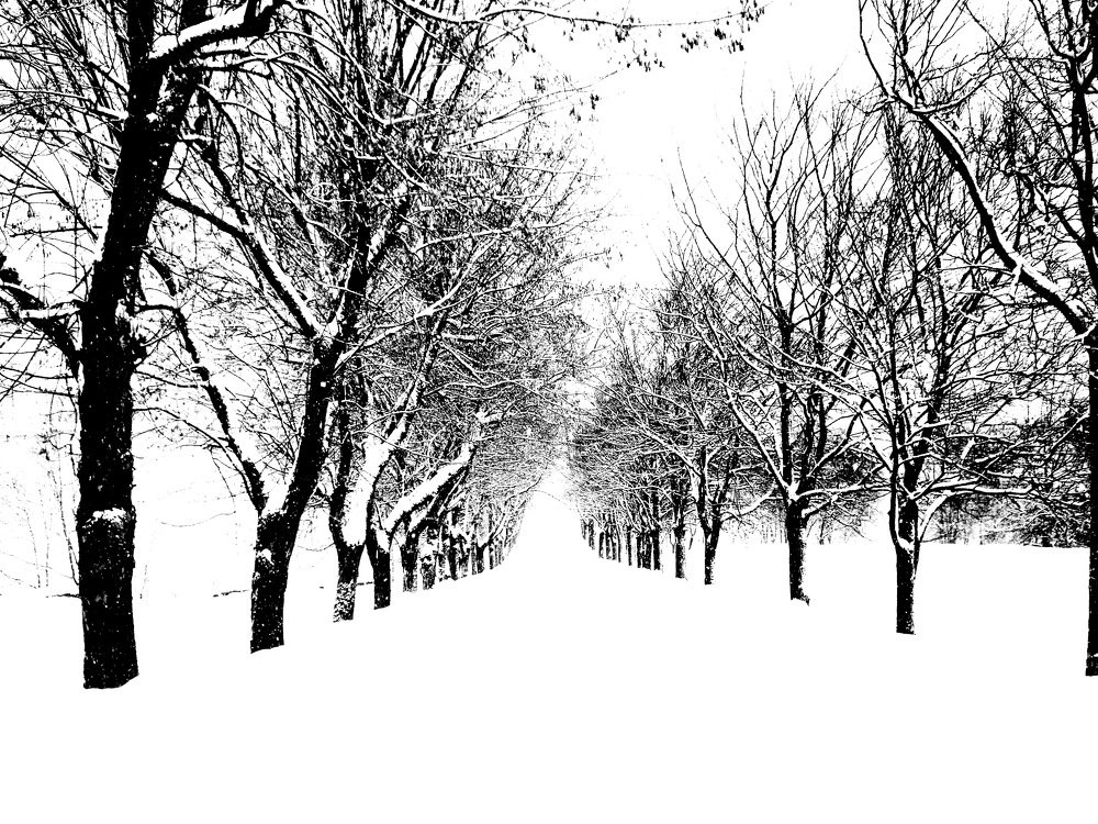 Пустынная алея