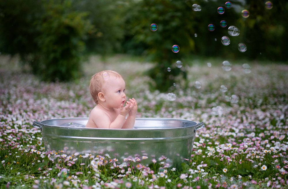 Маргаритки