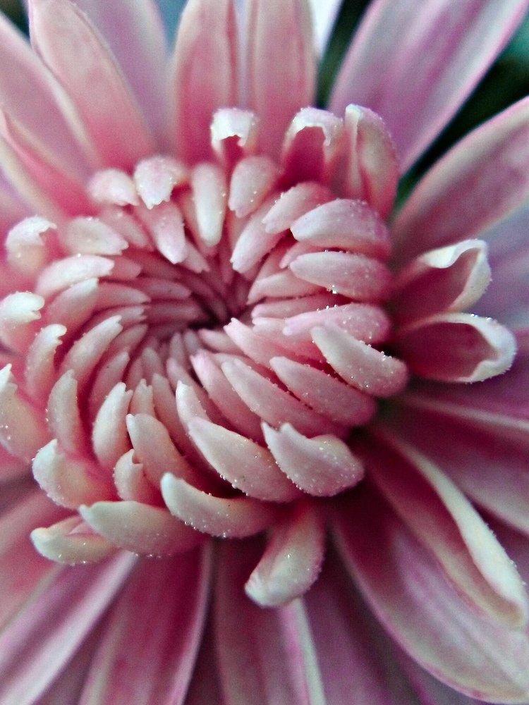 Photograph by Islam Traikia