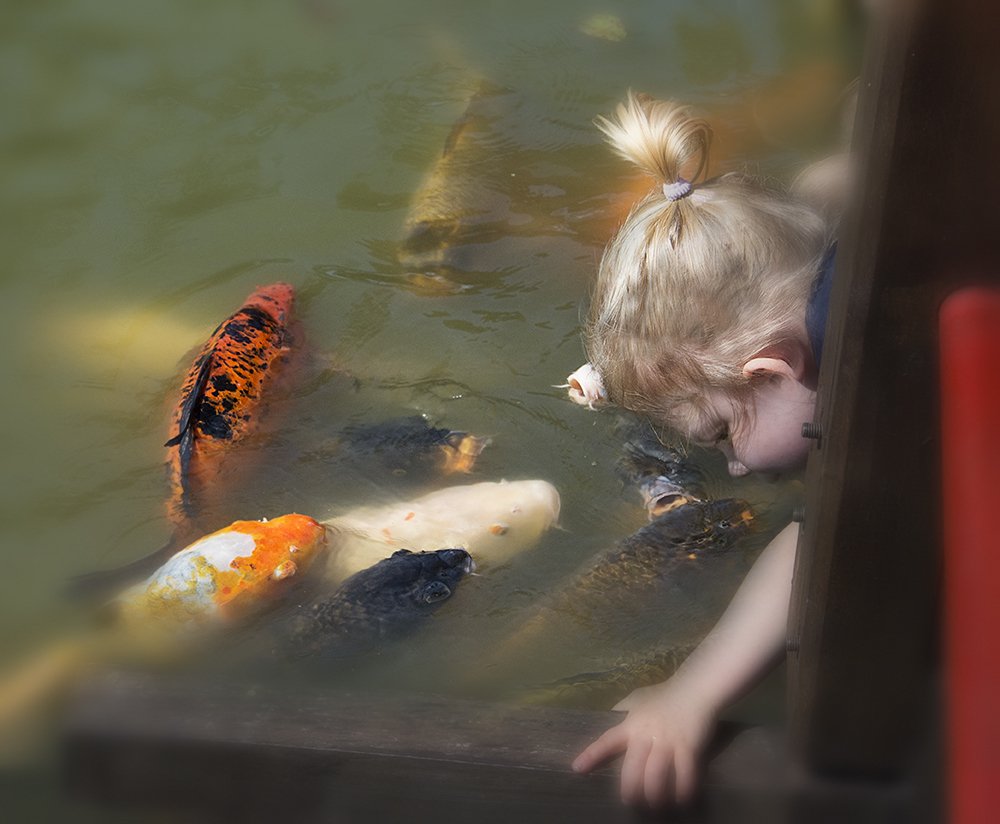 Photograph by Manuel Diaz