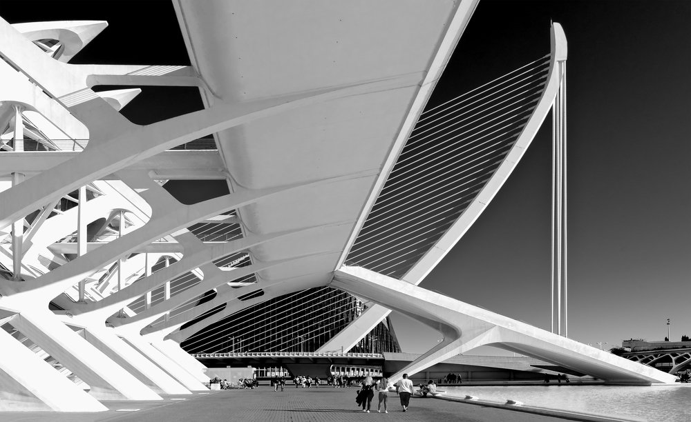 Valencia City of Arts and Science, view of Assut de l'Or Bridge