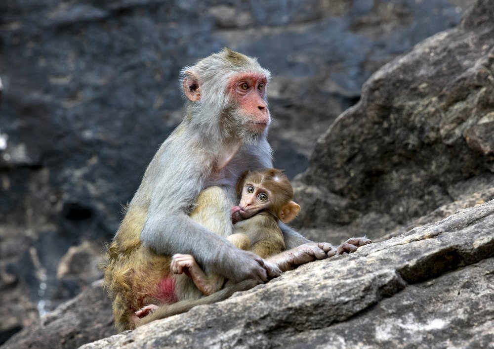 Photograph by Евгений Печенин