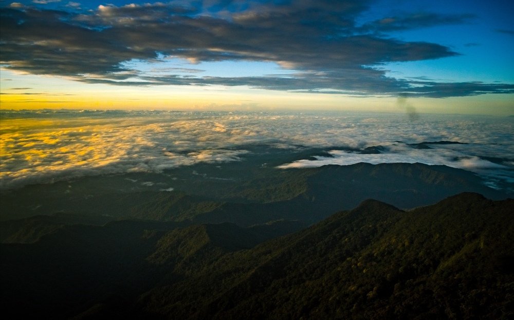 Photograph by mohd adam sher wood