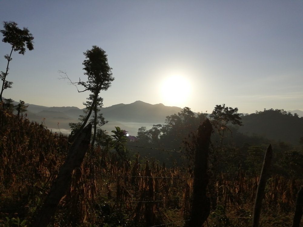 Photo #4121139