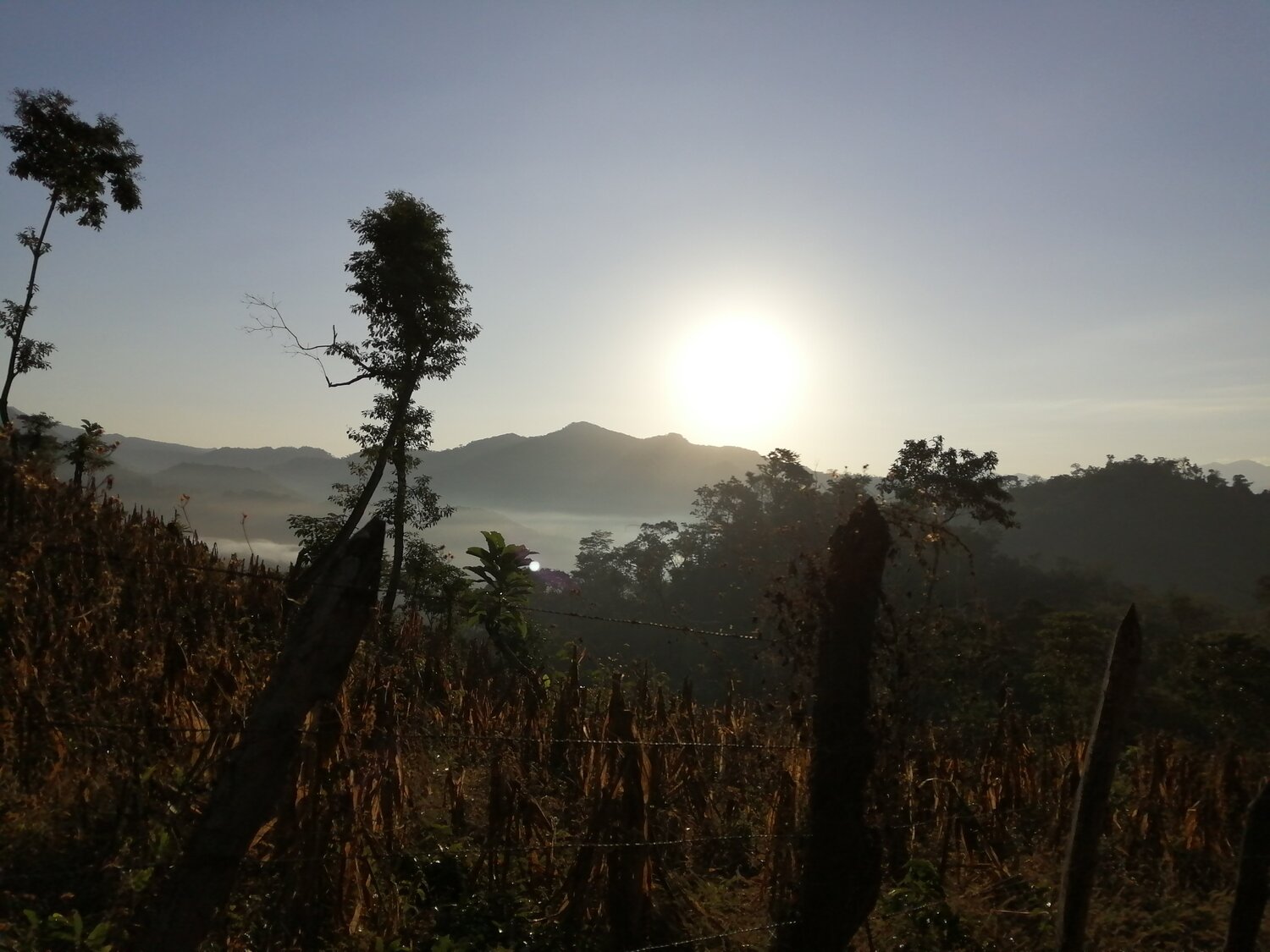 Photo #4121139
