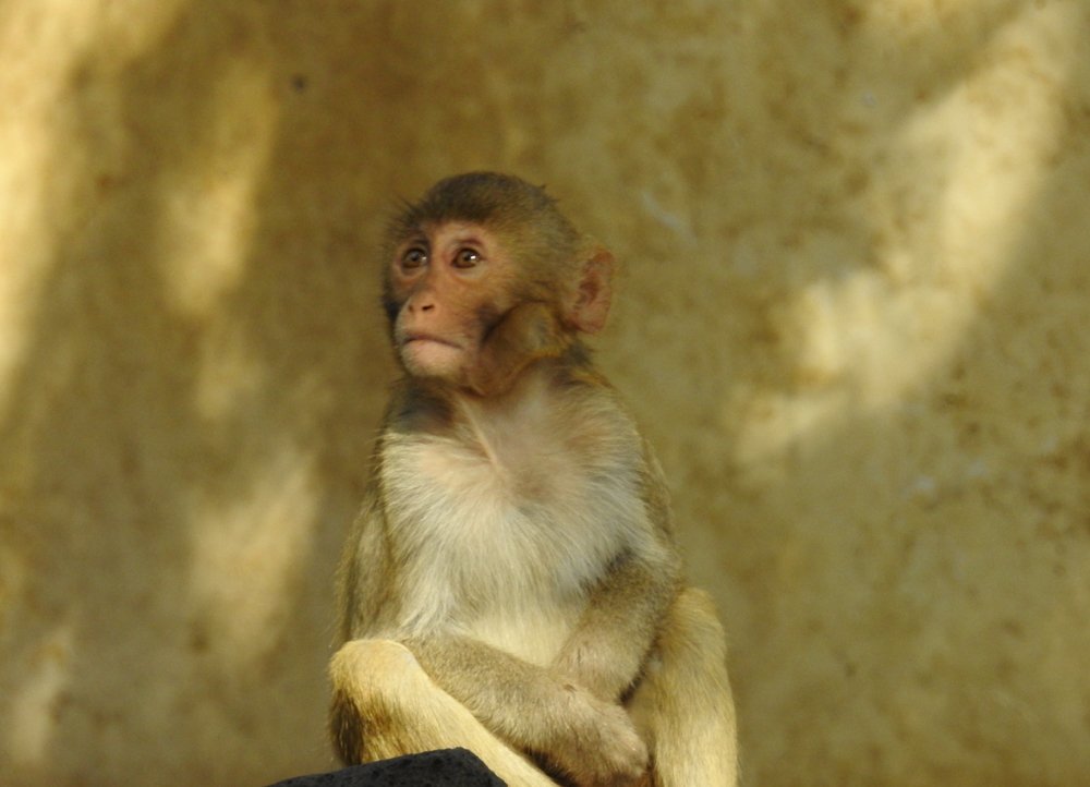 Фотография автора Gabriela Bonilla