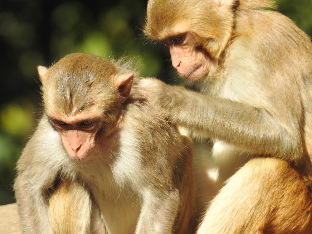 Фотография автора Gabriela Bonilla