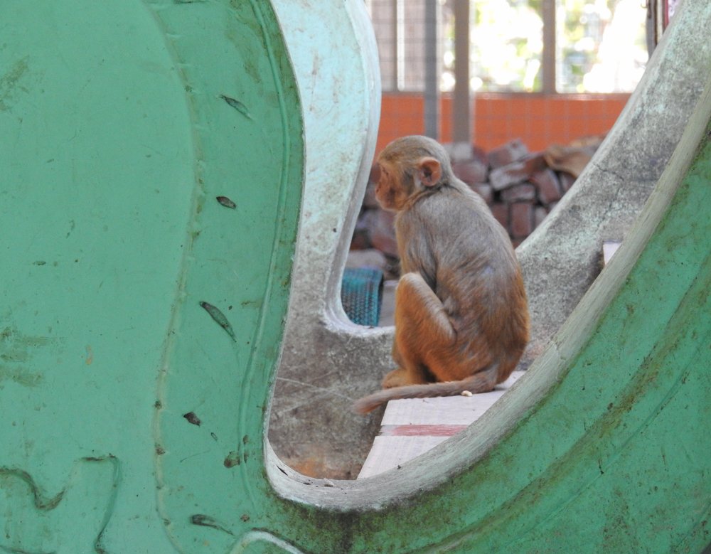 Фотография автора Gabriela Bonilla