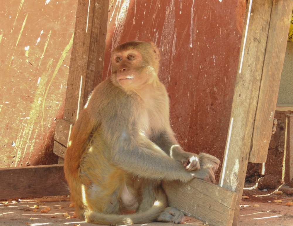 Фотография автора Gabriela Bonilla