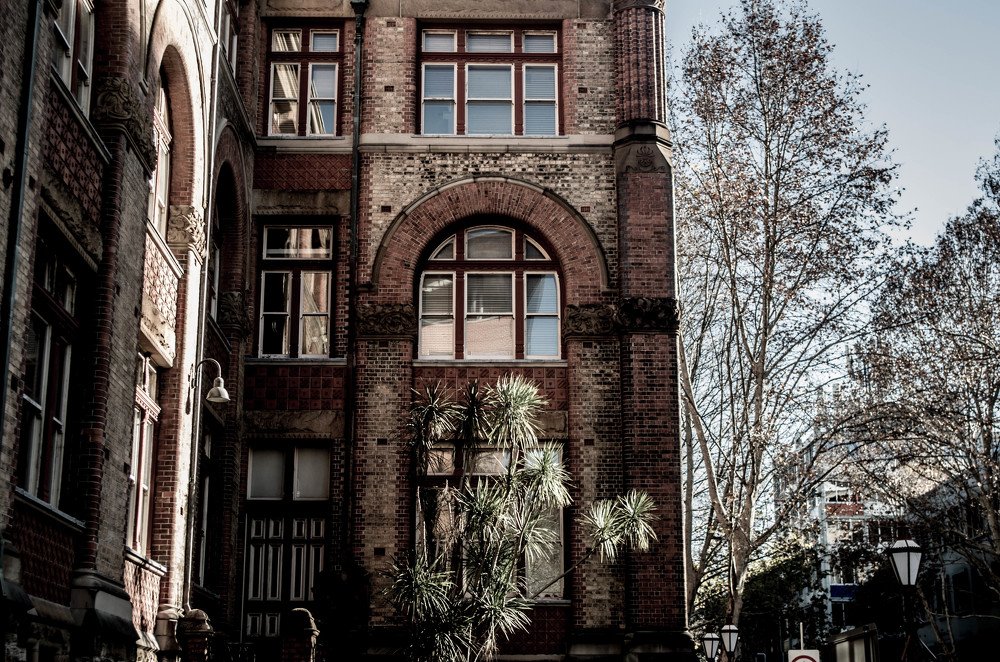 Photograph by Alondra Juárez Ramírez