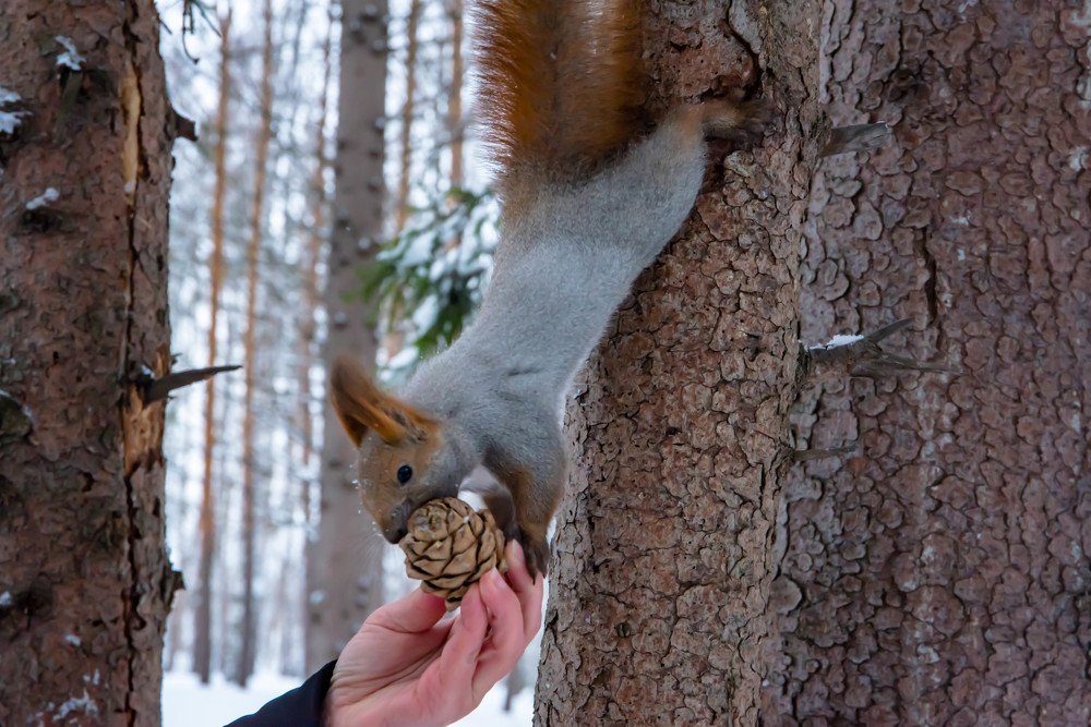 Photograph by Елена Прохорова