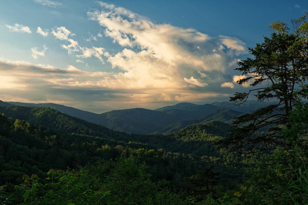 Photograph by Владимир Бородин