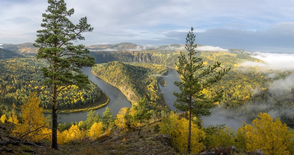 С добрым утром!