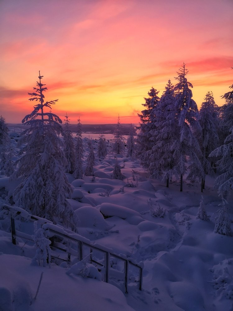 Закат в тайге