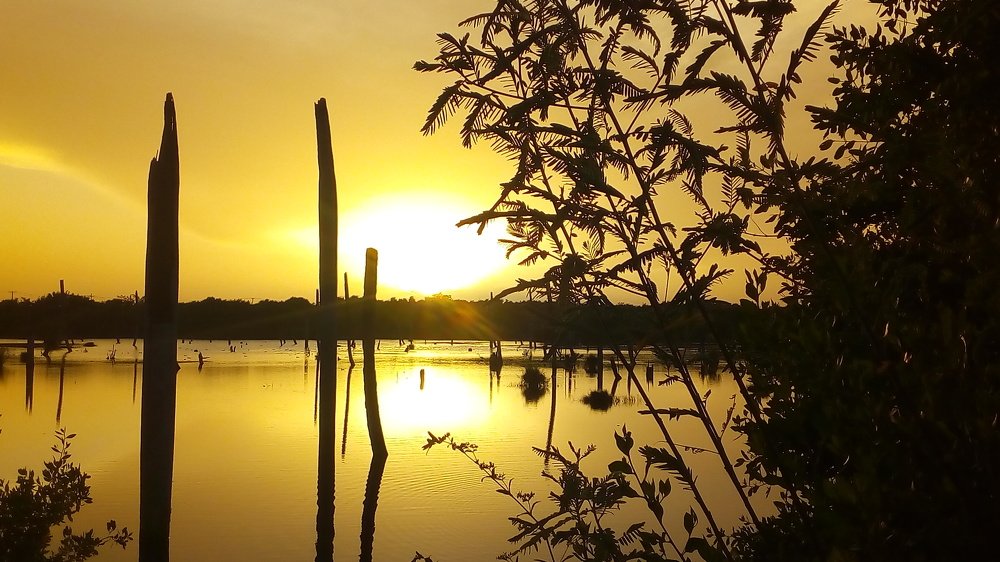 Ocaso en Laguna Bávaro.
