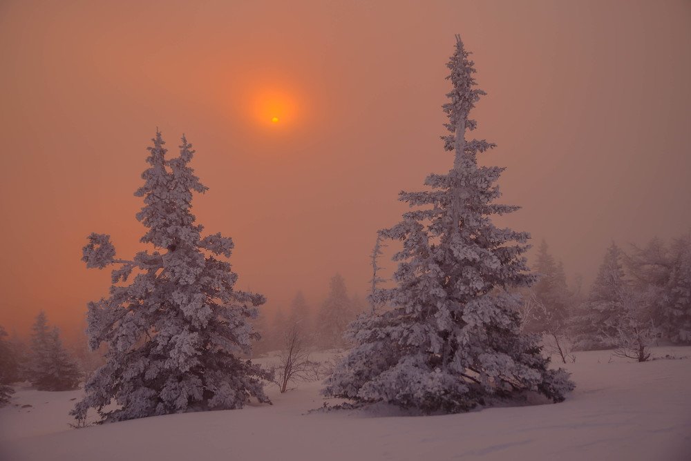 Зимние утро.