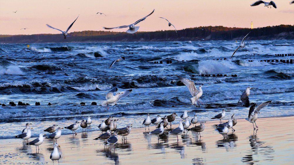 Photograph by Mariusz Smolinski