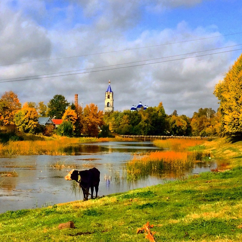 Photograph by Марина Калугина