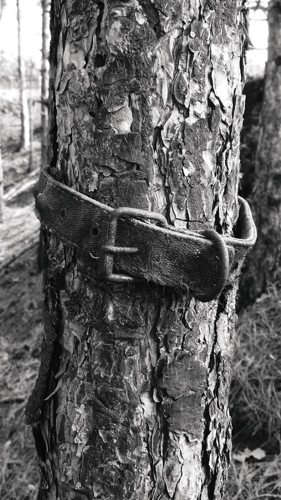 Photograph by Артём