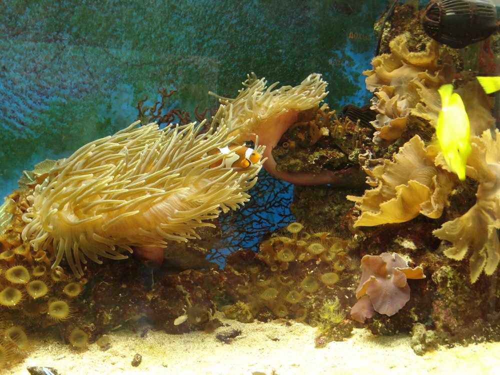 Photograph by елена кузьмина
