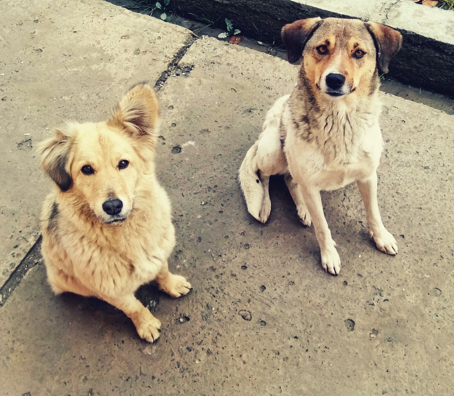 Photo #4121832