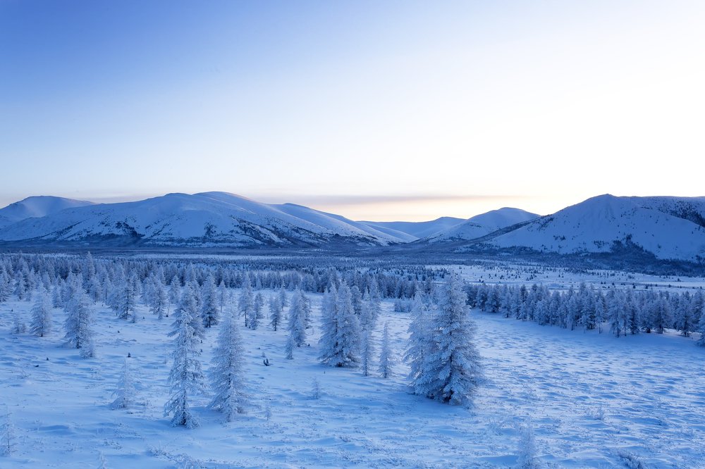 Зимнее утро.