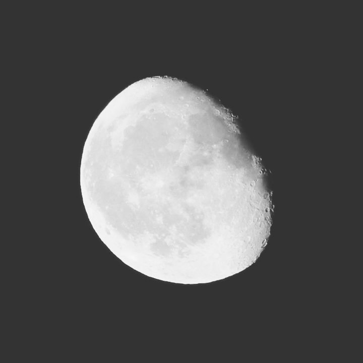 Night moon