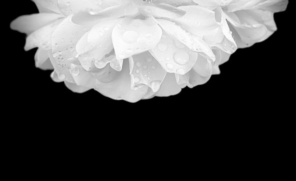 Photograph by Irina Trofimchuk