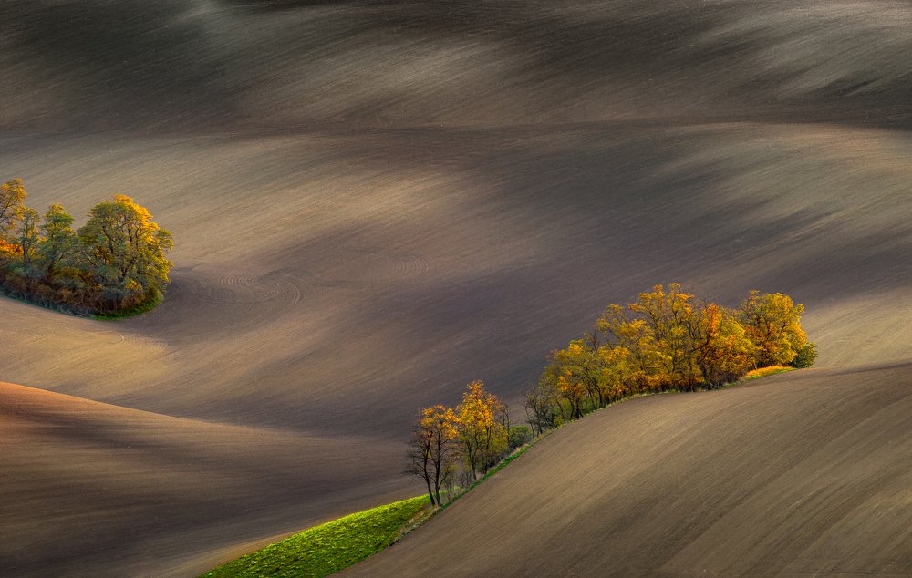 Осеннее поле.
